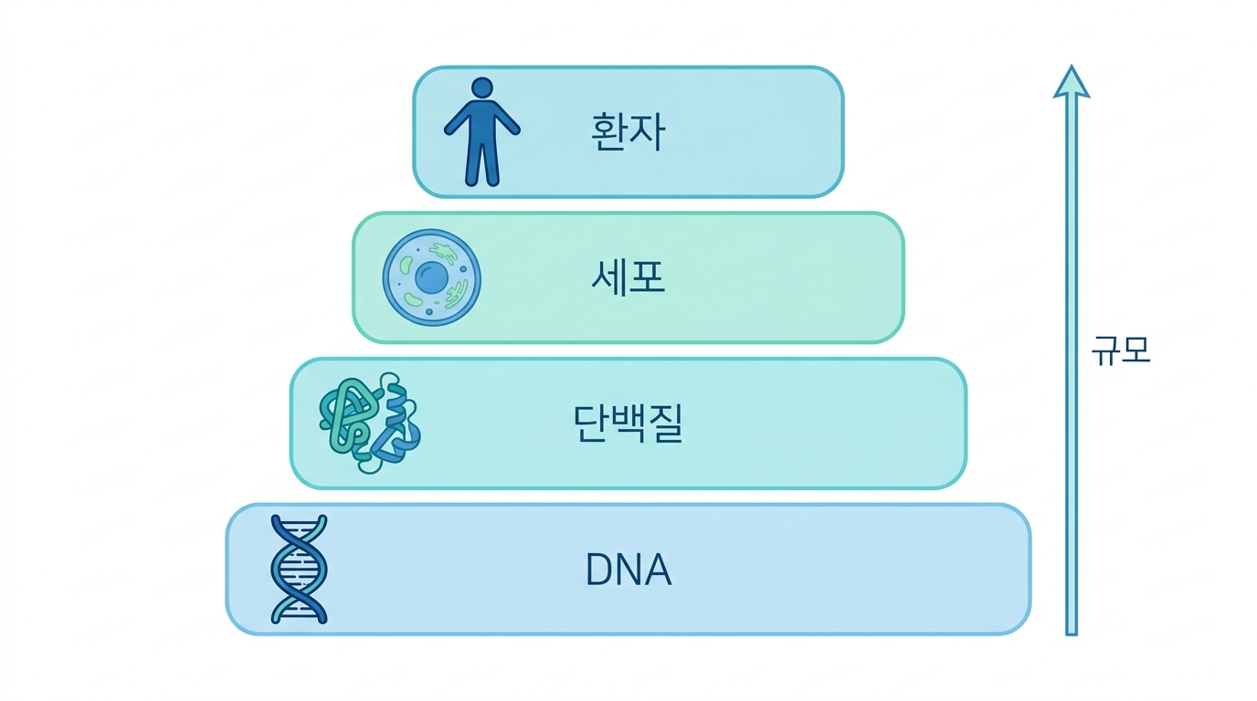 DNA에서 환자까지 파운데이션 모델 계층